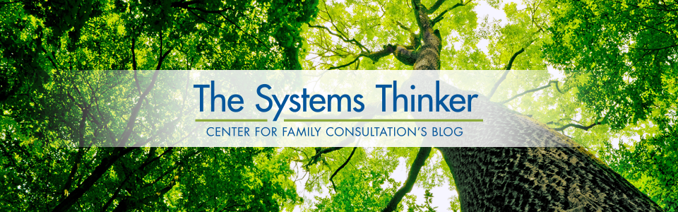 The Systems Thinker - Center for Family Consultation's blog